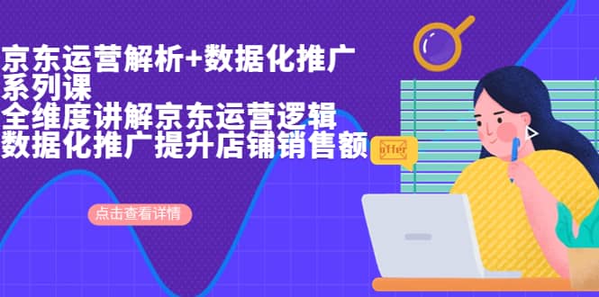 京东运营解析与数据化推广系列课，全维度讲解京东运营逻辑 数据化推广提升店铺销售额-亦可网创