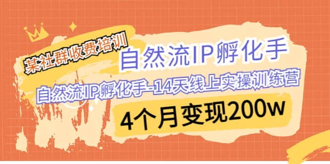 某社群收费培训：自然流IP 孵化手-14天线上实操训练营 4个月变现200w-亦可网创