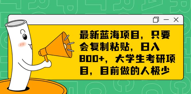 最新蓝海项目，只要会复制粘贴，日入800 ，大学生考研项目，目前做的人极少-亦可网创