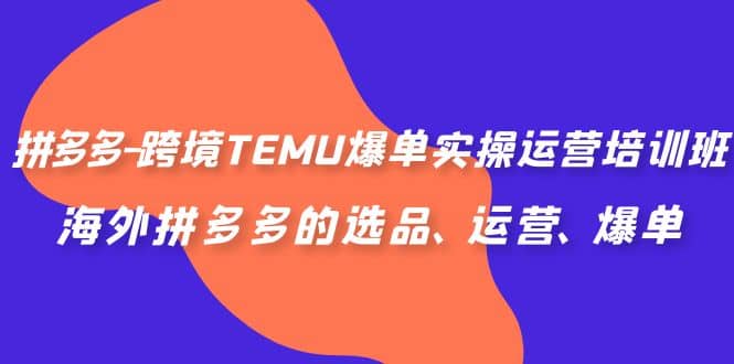 拼多多-跨境TEMU爆单实操运营培训班，海外拼多多的选品、运营、爆单-亦可网创