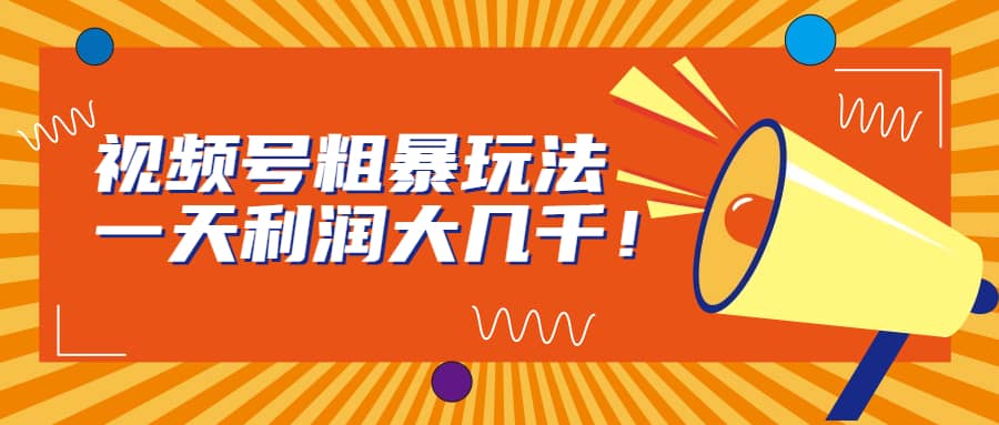 视频号粗暴玩法，一天利润大几千-亦可网创