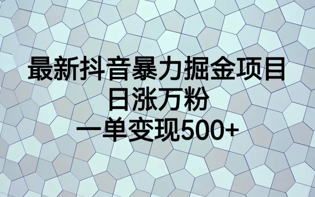 最火热的抖音暴力掘金项目，日涨万粉，多种变现方式，一单变现可达500-亦可网创