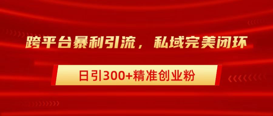 跨平台暴力引流，私域完美闭环，日引300+精准创业粉-亦可网创