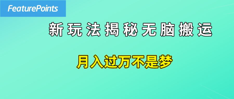 简单操作，每天50美元收入，搬运就是赚钱的秘诀！-亦可网创