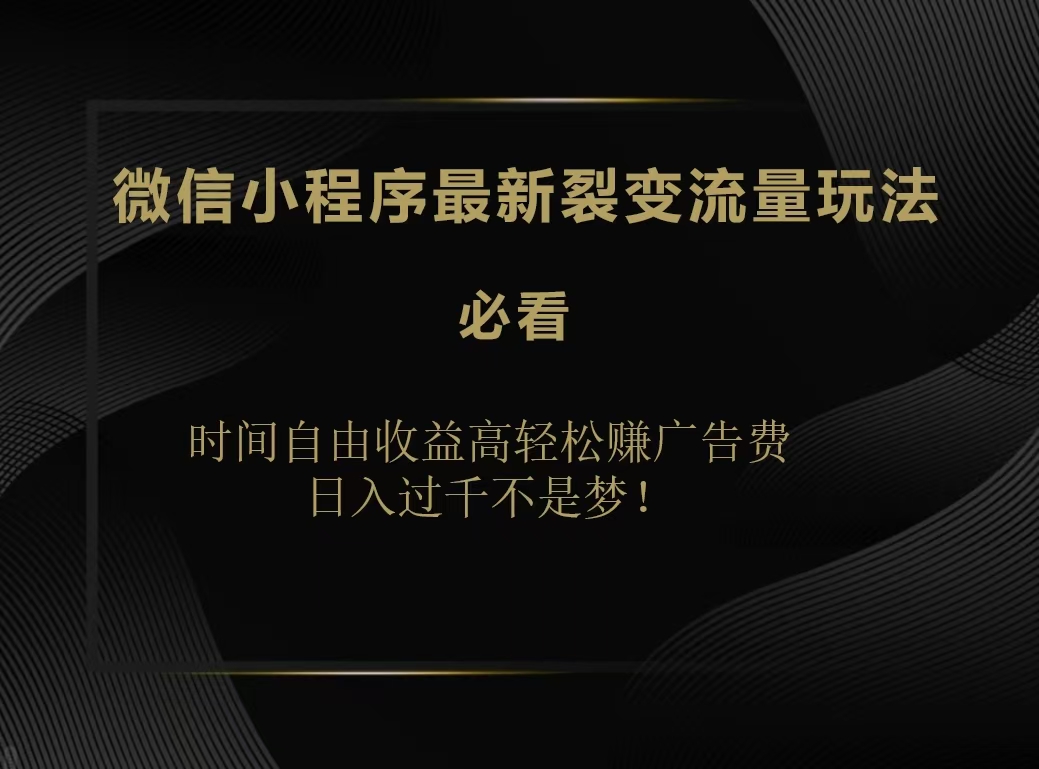 微信小程序最新裂变流量玩法，时间自由收益高轻松赚广告费，日入200-500+-亦可网创