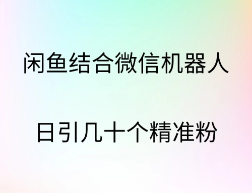 闲鱼结合微信机器人，日引几十个精准粉-亦可网创