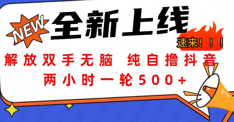 解放双手无脑 纯自撸抖音 两小时一轮500+-亦可网创