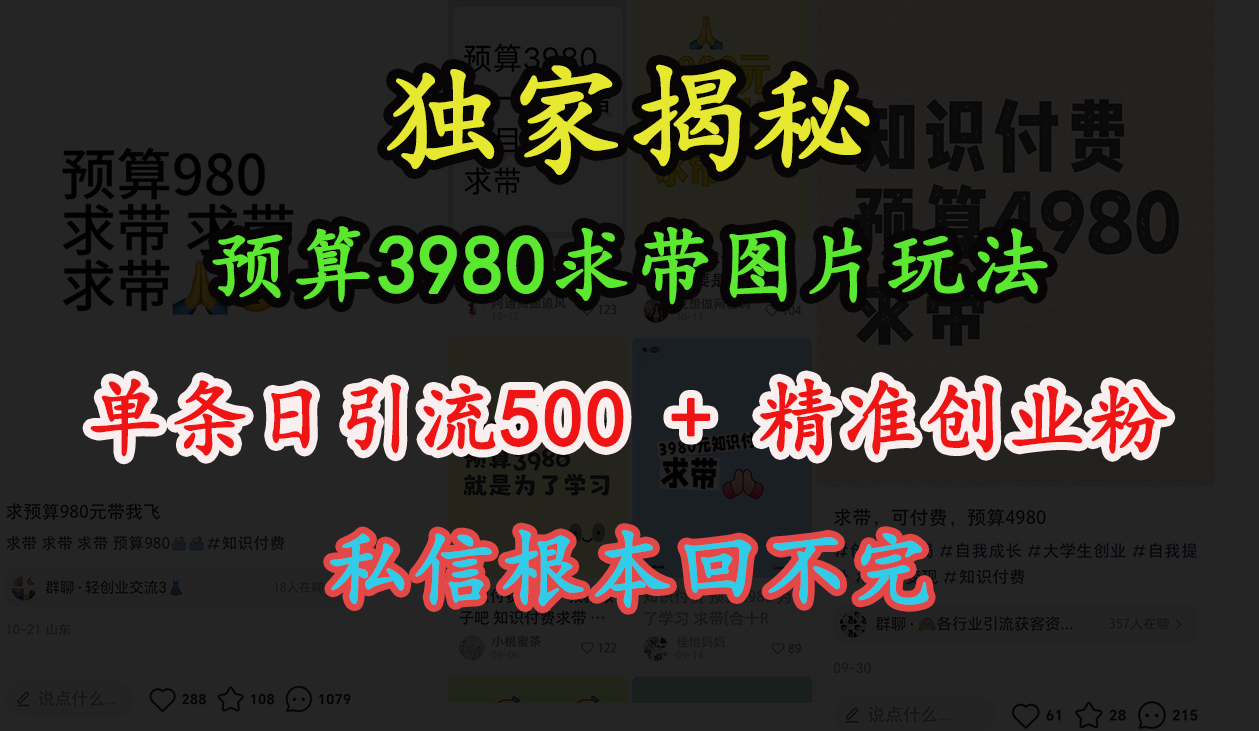 “小红书”预算3980求带 图片玩法，单条日引流500+精准创业粉，私信根本回不完-亦可网创