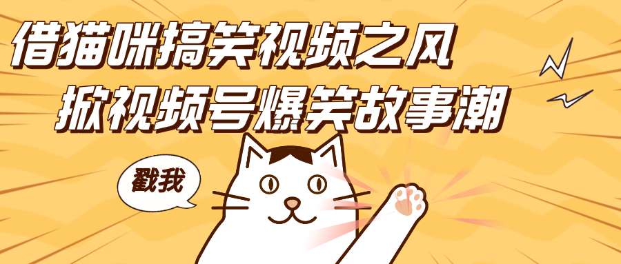 借猫咪搞笑视频之风，掀视频号爆笑故事潮，轻松日赚四位数，开启无门槛赚钱新体验！-亦可网创