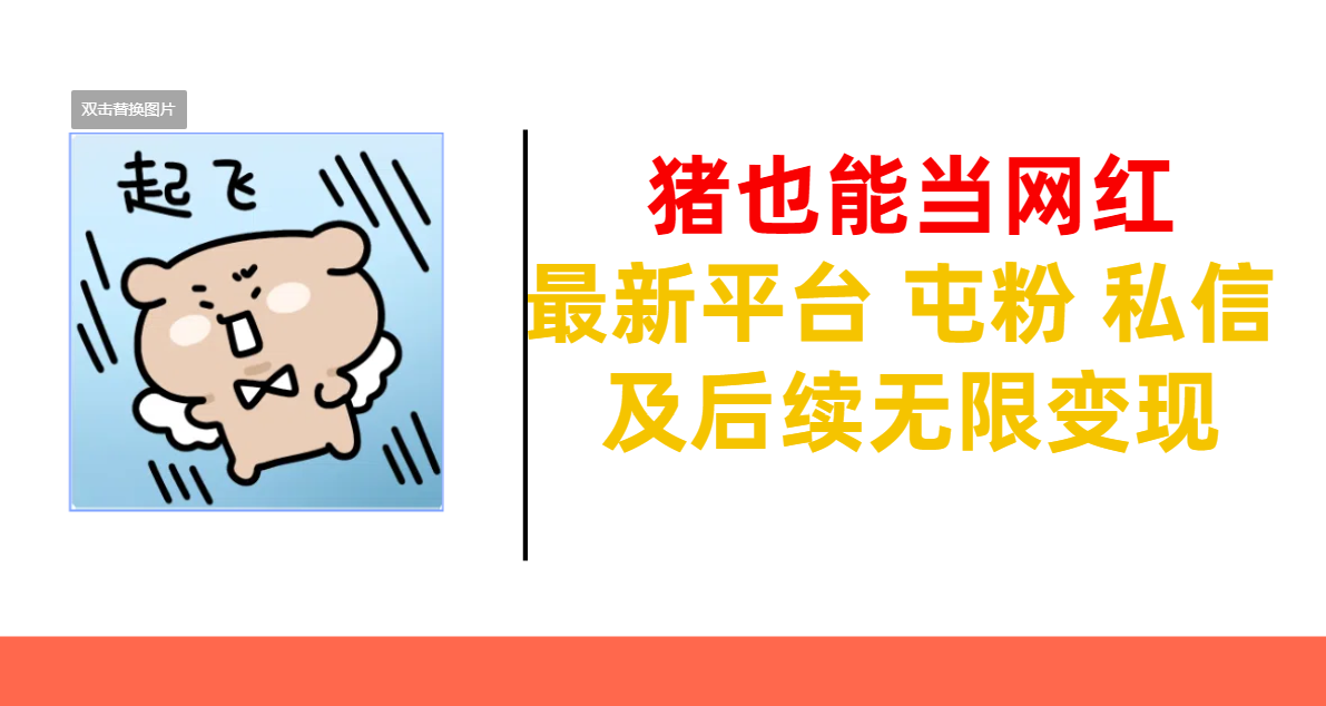 猪也能当网红-最新平台 屯粉 交流 私信 及后续无限变现-亦可网创