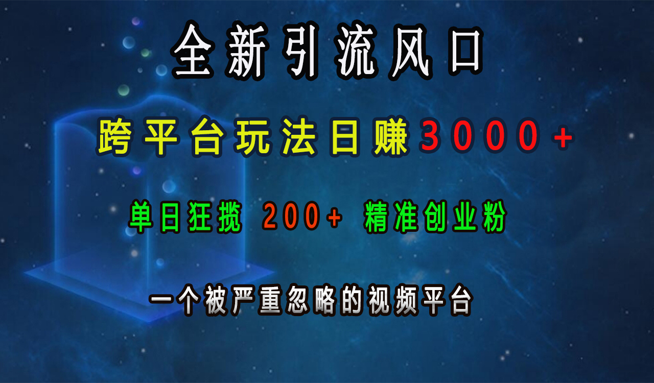 全新引流风口，跨平台玩法日赚3000+，单日狂揽200+精准创业粉，一个被严重忽略的视频平台-亦可网创