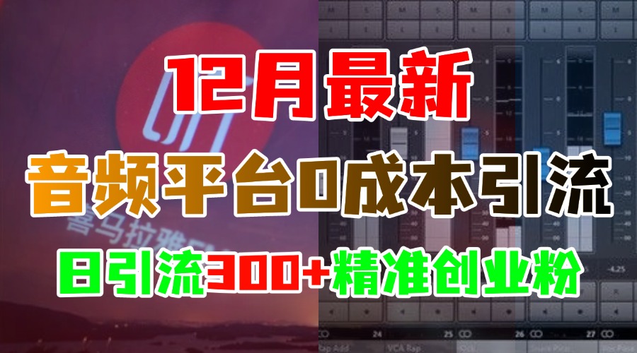 12月最新：音频平台0成本引流，日引300+精准创业粉-亦可网创