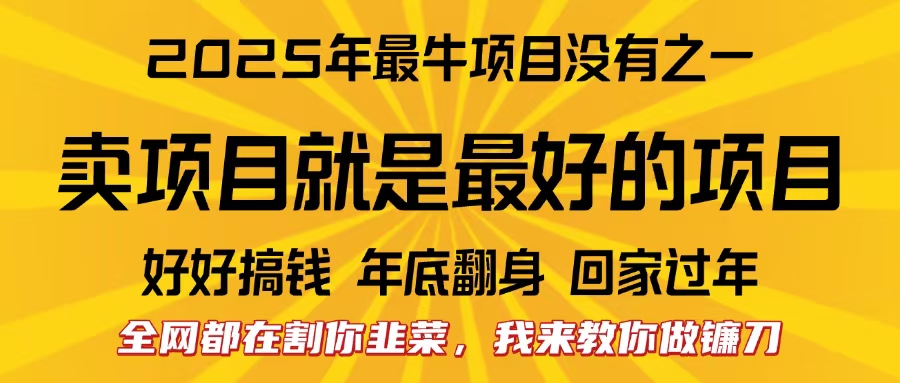 全网都在割你韭菜，我来教你做镰刀。卖项目就是最好的项目，2025年最牛互联网项目-亦可网创