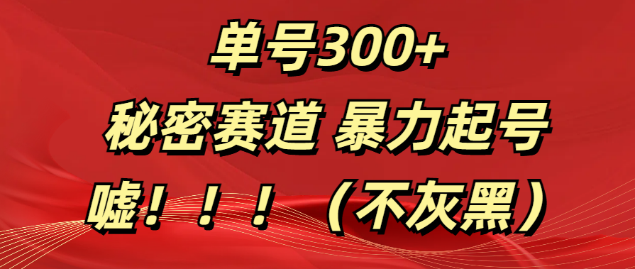 单号300+  秘密赛道 暴力起号  （不灰黑）-亦可网创