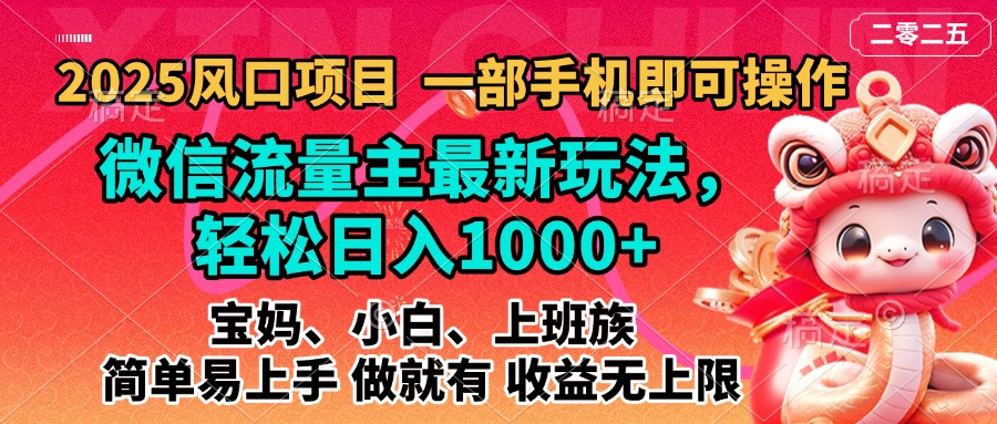 2025蓝海风口项目，微信流量主最新玩法，轻松日入1000+，简单易上手，做就有 收益无上限-亦可网创