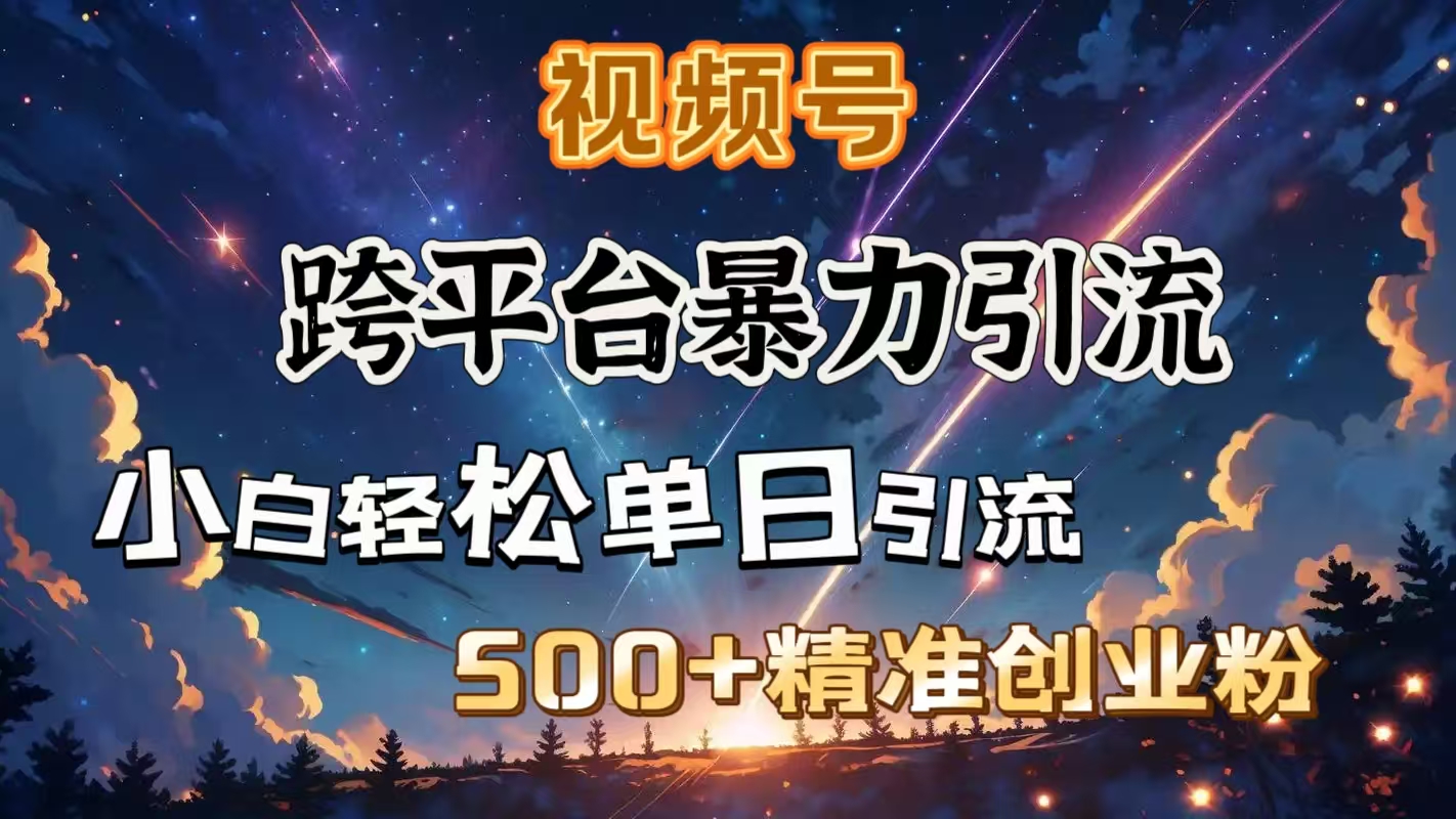 视频号跨平台暴力引流，小白轻松单日引流500＋精准创业粉-亦可网创