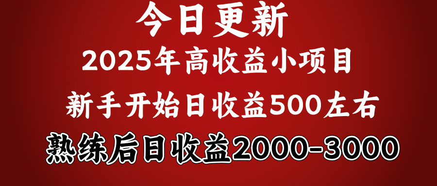 2025开年好项目，新手日收益500+ 熟练掌握后，日收益平均2000多-亦可网创