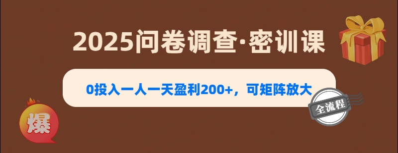 2025《问卷调查》0投入一人一天盈利200+，可矩阵放大-亦可网创