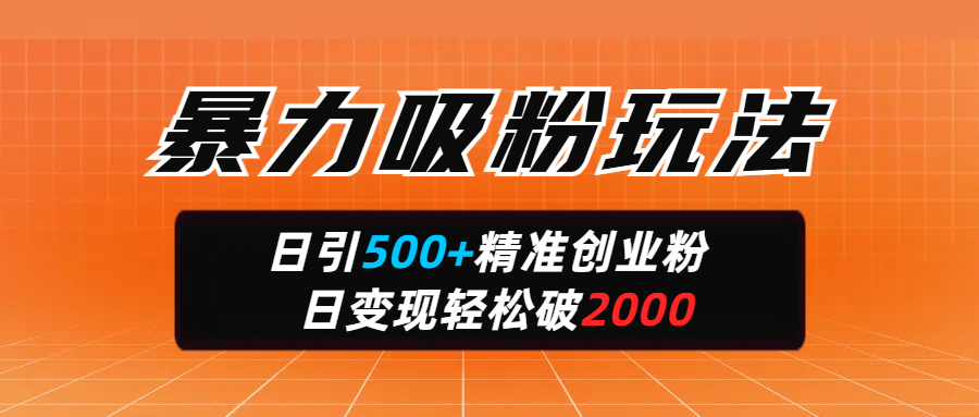 暴力吸粉玩法，日引500+精准创业粉，日变现轻松破2000-亦可网创