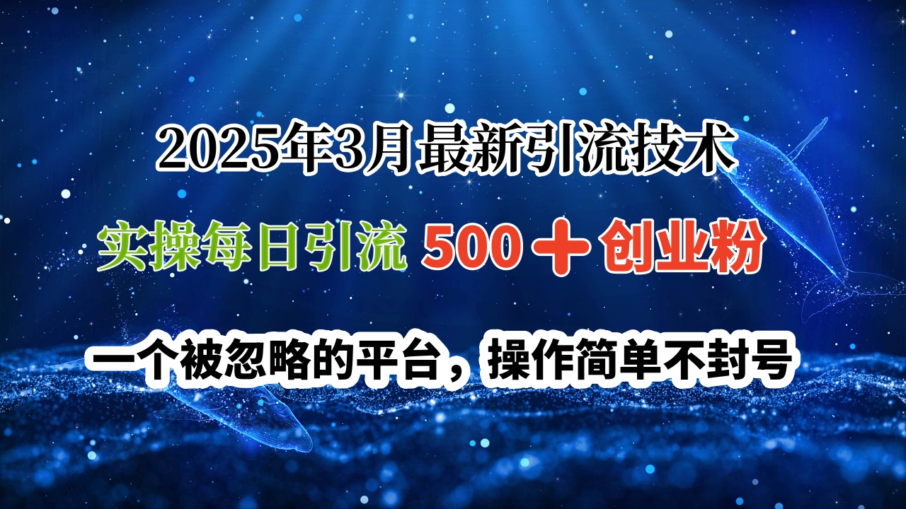 2025年3月最新引流技术，实操每日引流500➕创业粉，一个被忽略的平台，操作简单不封号-亦可网创