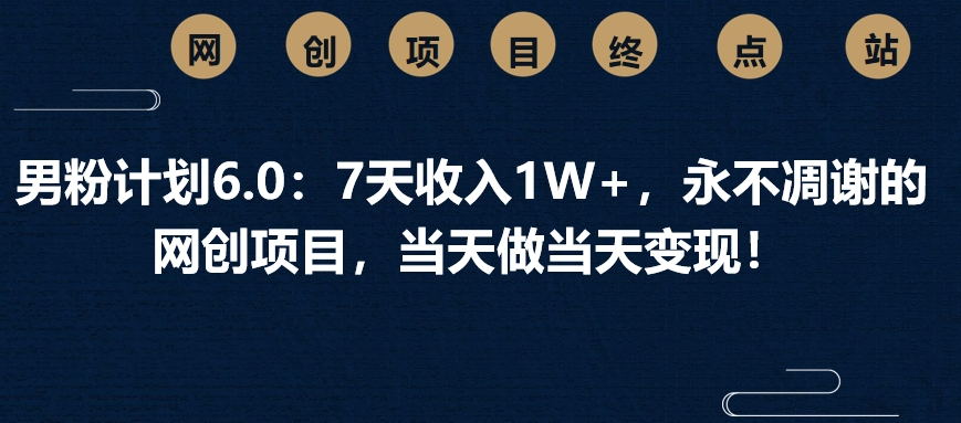 男粉计划6.0：7天收入1W+，永不凋谢的网创项目，当天做当天变现！-亦可网创