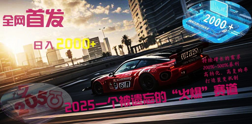 全网首发：2025一个被遗忘的“火爆”赛道轻松日入2000+-亦可网创