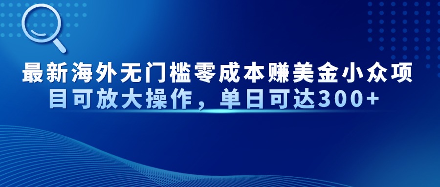 最新海外无门槛美金小众项目可放大操作，单日可达300+-亦可网创