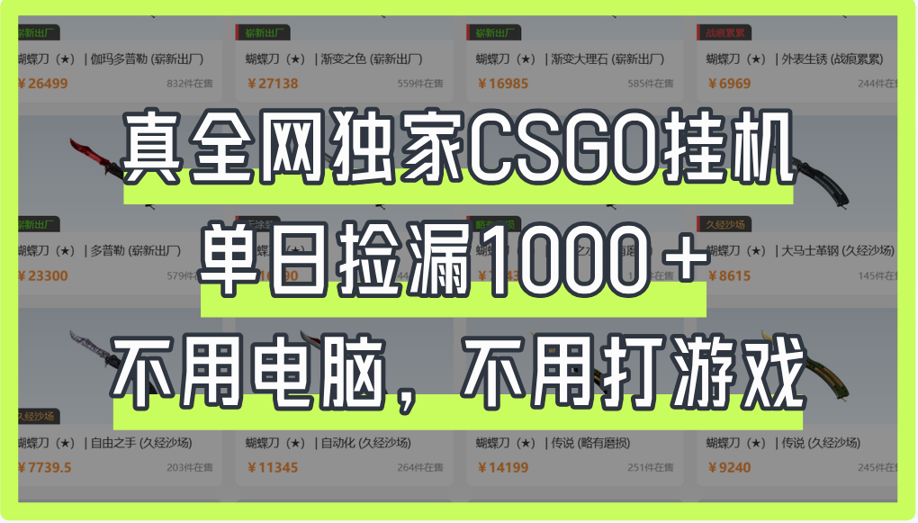 真全网独家CSGO挂机，单日捡漏1000+-亦可网创