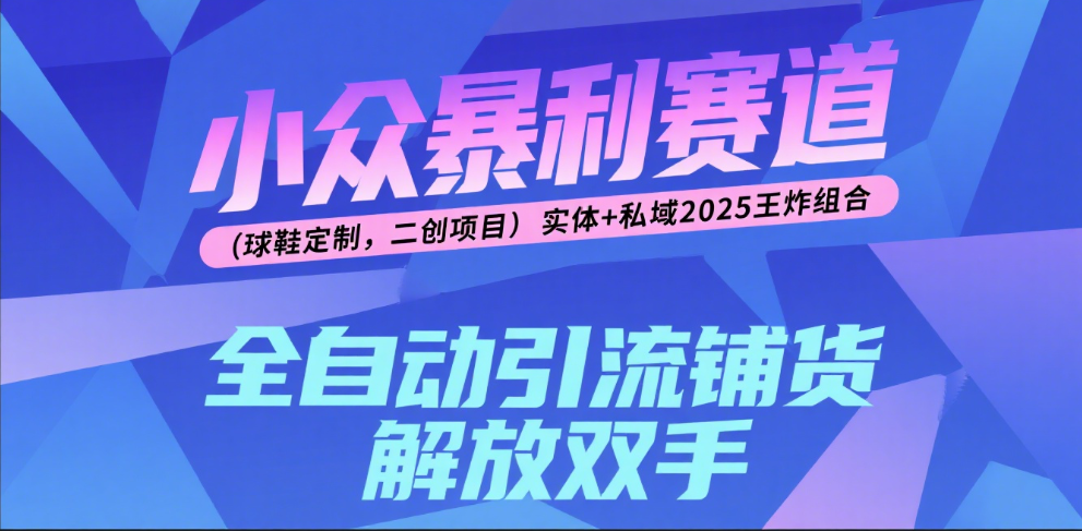 楠—小众暴利赛道（球鞋定制，二创项目）实体+私域2025王炸组合-亦可网创