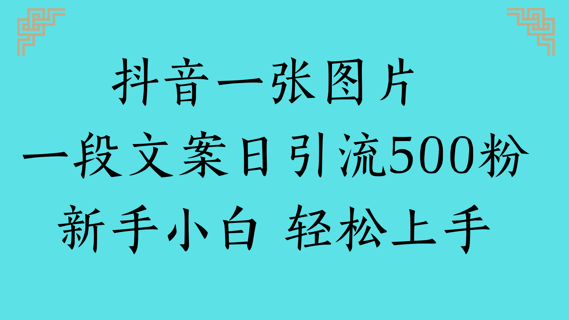 抖音一张图片 一段文案日引流500粉新手小白 轻松上手-亦可网创