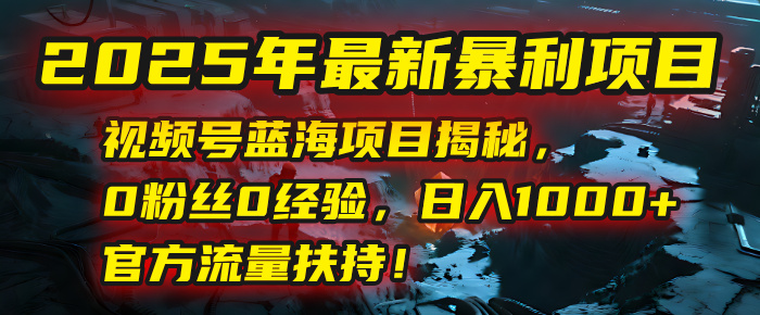 2025年最新暴利项目：视频号蓝海项目揭秘，0粉丝0经验，日入1000+，官方流量扶持！-亦可网创