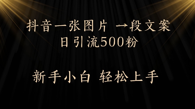 抖音一张图片，一段文案日引流500粉，新手小白 轻松上手-亦可网创
