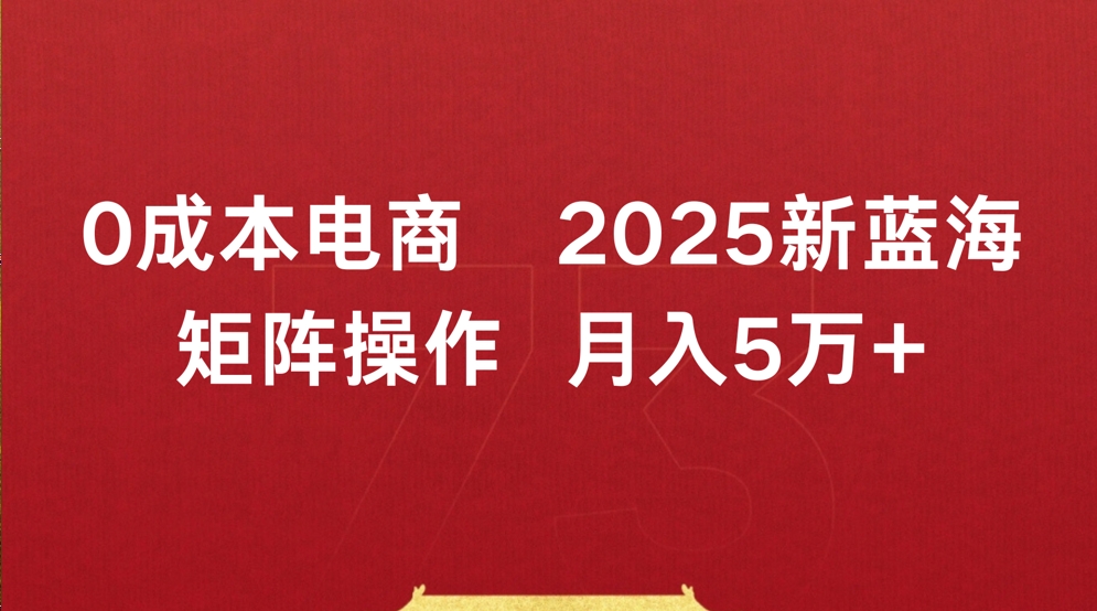 0成本电商2025新蓝海矩阵操作 月入5万+-亦可网创