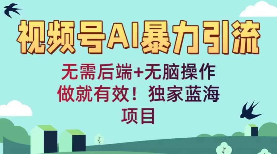 视频号AI暴力引流：无需后端+无脑操作，做就有效！独家蓝海项目-亦可网创