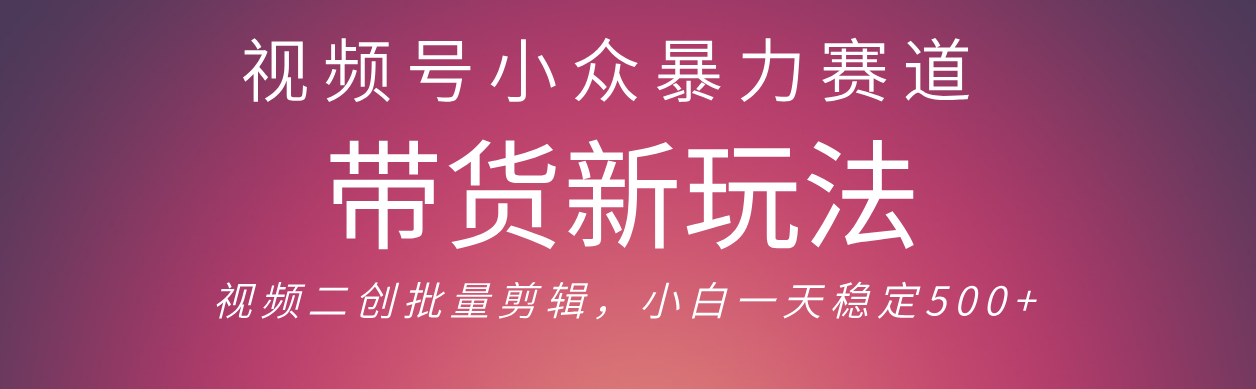 视频号小众暴力赛道，最新带货玩法 小白也能轻松日入500+ 保姆及教程-亦可网创