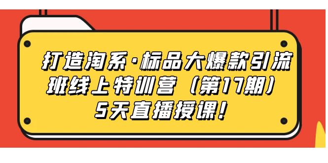 打造淘系·标品大爆款引流班线上特训营5天直播授课！-亦可网创