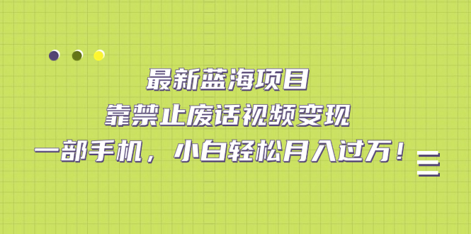最新蓝海项目，靠禁止废话视频变现，一部手机，小白轻松月入过万！-亦可网创