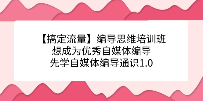 【搞定流量】编导思维培训班，想成为优秀自媒体编导先学自媒体编导通识1.0-亦可网创