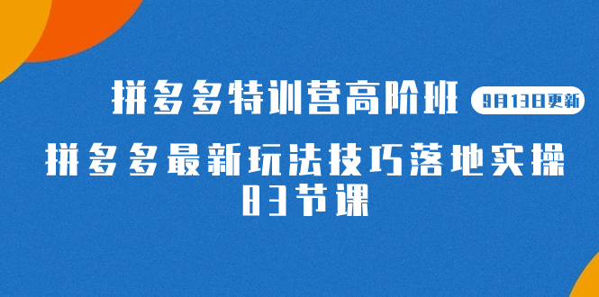 2023拼多多·特训营高阶班【9月13日更新】拼多多最新玩法技巧落地实操-83节-亦可网创