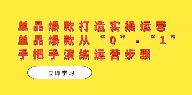单品爆款打造实操运营，单品爆款从“0”-“1”手把手演练运营步骤-亦可网创
