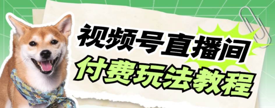 视频号美女付费无人直播，轻松日入500 【详细玩-亦可网创