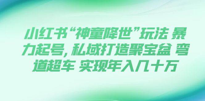 小红书“神童降世”玩法 暴力起号,私域打造聚宝盆 弯道超车 实现年入几十万-亦可网创