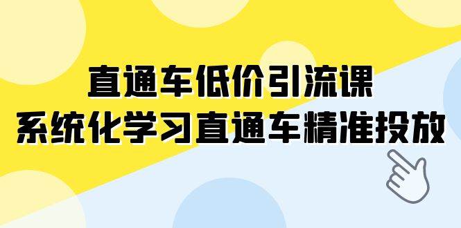 直通车-低价引流课，系统化学习直通车精准投放（14节课）-亦可网创