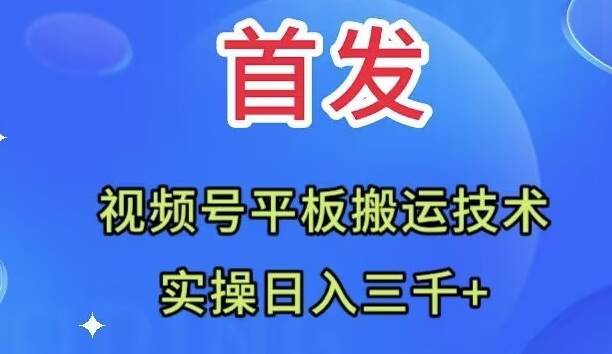 全网首发：视频号平板搬运技术，实操日入三千＋-亦可网创