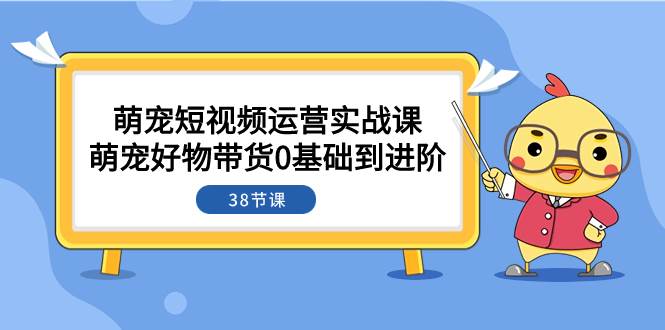 萌宠·短视频运营实战课：萌宠好物带货0基础到进阶（38节课）-亦可网创