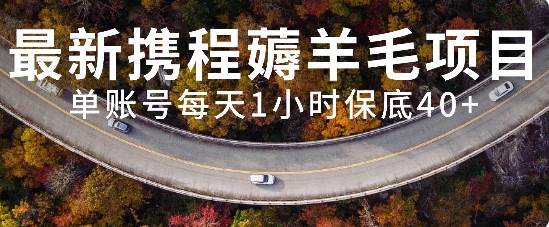 最新携程薅羊毛项目，单账号每天1小时保底收益40 ，可矩阵操作-亦可网创
