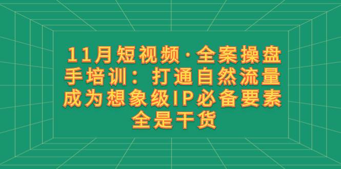 11月短视频·全案操盘手培训：打通自然流量 成为想象级IP必备要素 全是干货-亦可网创