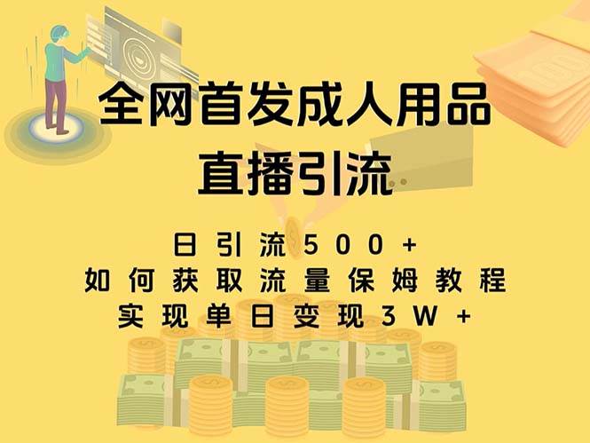 最新全网独创首发，成人用品直播引流获客暴力玩法，单日变现3w保姆级教程-亦可网创