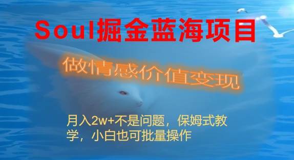 Soul掘金蓝海项目细分赛道，做情感价值变现，月入2w+不是问题-亦可网创
