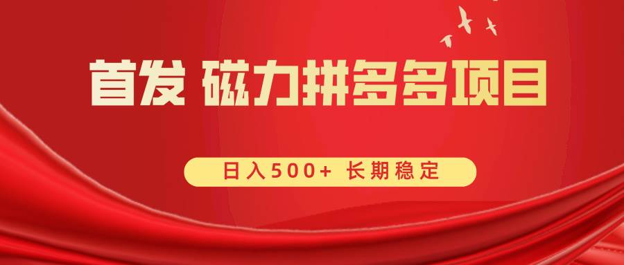首发 磁力拼多多自撸  日入500+-亦可网创